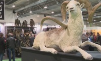 2027年西班牙马德里狩猎及垂钓展览会展位预定流程,一步一步教你操作