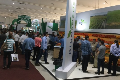巴西圣保罗花卉园艺展览会展会现场图片