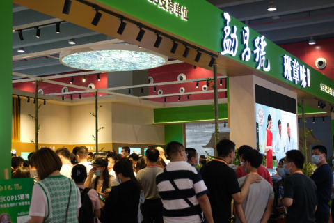 广州国际茶叶展-广州茶博会展会现场图片