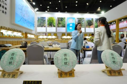 重庆国际茶产业展-重庆茶博会展会现场图片
