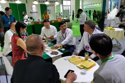 天津茶叶展-天津茶博会展会现场图片