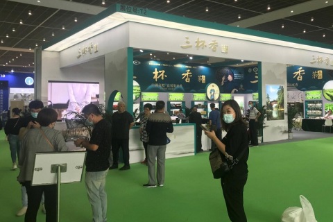 天津茶叶展-天津茶博会展会现场图片