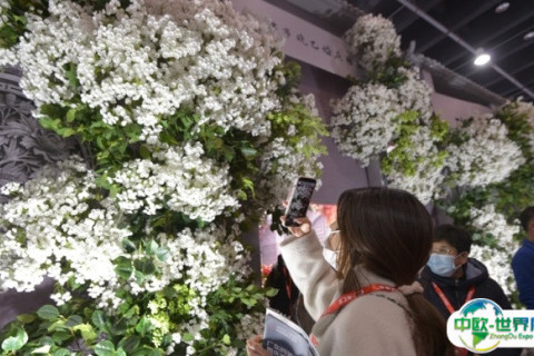 全国婚庆道具、喜庆用品、仿真花交易会展会现场图片