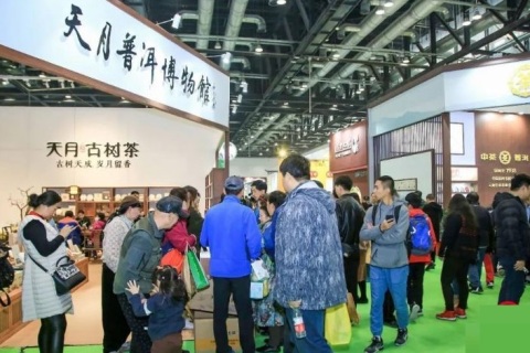 福建福州国际茶产业展-福州茶博会展会现场图片