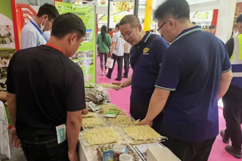 中国(合肥)坚果果干食品展览会展会现场图片