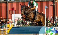 2026年澳大利亚马术展览会参观指南(举办时间与地点+票价详情)