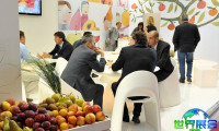 2027年意大利果蔬展(Macfrut)参观指南:时间地点与门票价格详解