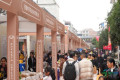 第四届湖南（廉桥）中医药产业博览会正式启幕