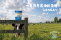 【环球国民品牌】Mackie’s |一勺冰淇淋，为何值得你专程前往进博会一探究竟？