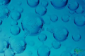 2027年美国休斯顿碳捕获技术能源博览会将聚焦低碳氢能未来